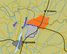Воронежский